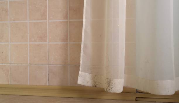 Best Indoor Air Quality Assessment  in Ocean Grove, NJ