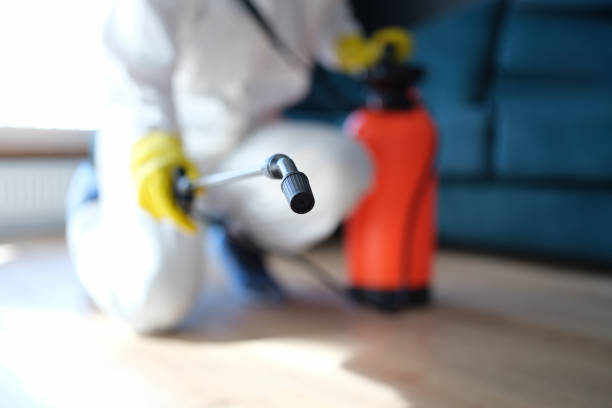 Best Emergency Mold Remediation  in Ocean Grove, NJ