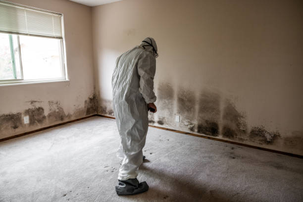 Mold Documentation for Insurance Claims in Ocean Grove, NJ